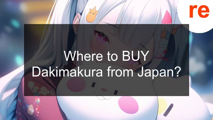 Dakimakura purchase from Japan